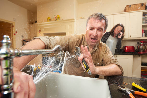 Best Professional water damage repair  in Sweetwater, TN